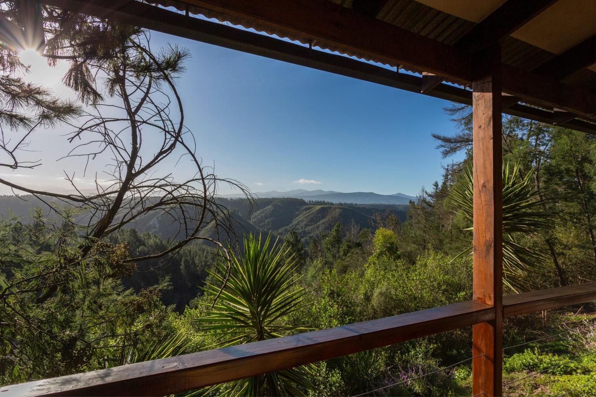 Forest Valley Cottages Κνύσνα Εξωτερικό φωτογραφία